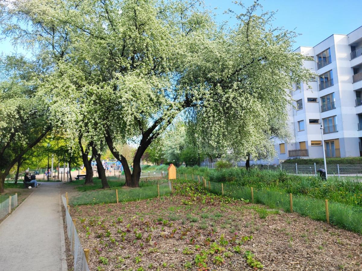Apartmán Jr Smolna Poznaň Exteriér fotografie